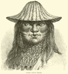 Canibo印度人，男性 作者 英语学校