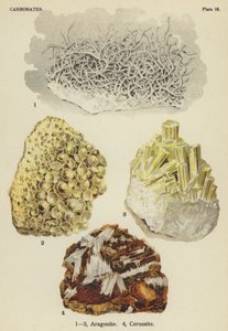 碳酸盐、文石、铈石（彩色石版画） 作者 英语学校