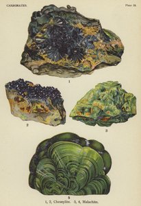 碳酸盐、棋盘石、孔雀石（彩色石版画） 作者 英语学校
