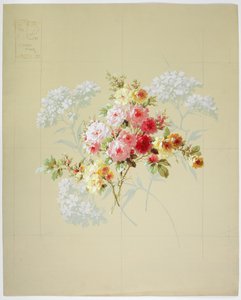 地毯设计（纸上卫生） 作者 英语学校