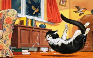 落通过玻璃窗的猫 作者 英语学校