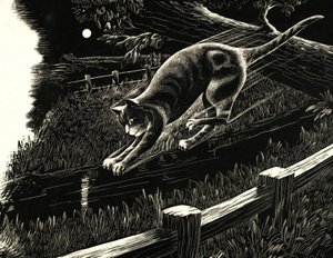 猫从树枝上跳跃 作者 英语学校