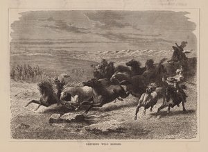 捕捉野马（雕刻） 作者 英语学校