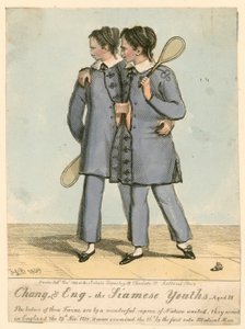 Chang and Eng，暹罗青年，18岁 作者 英语学校