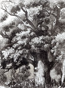 查理二世（1630-85）1651年10月14日隐藏在橡树里 作者 英语学校