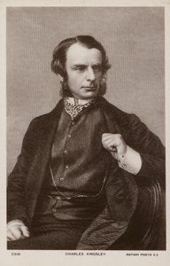 查尔斯・金斯利（1819-1875），英国牧师、历史学家和小说家（平版） 作者 英语学校