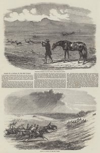 追逐豺狼，在新森林中（版画） 作者 英语学校