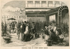 圣诞树在科文特花园市场，伦敦上 作者 英语学校