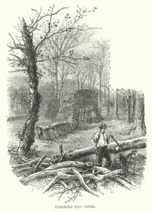 Clearing the copse (engraving) 作者 英语学校
