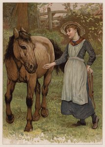聪明的多宾 (chromolitho) 作者 英语学校