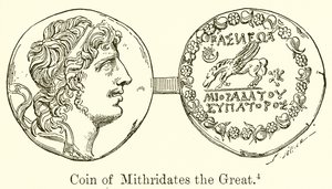 Mithridates the Great的硬币 作者 英语学校