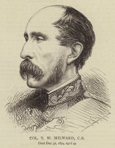 T W Milward 上校，CB（雕刻） 作者 英语学校
