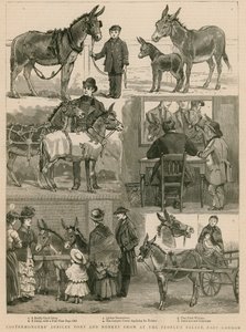 Costermongers Jubilee Pony and Donkey Show在东伦敦人民宫 作者 英语学校