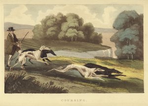 Coursing（彩色雕刻） 作者 英语学校