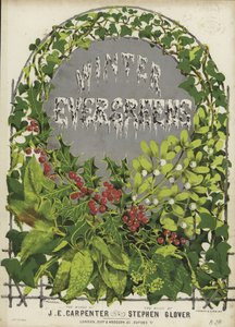 Winter Evergreens的封面