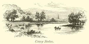 Cowey Stakes 作者 英语学校