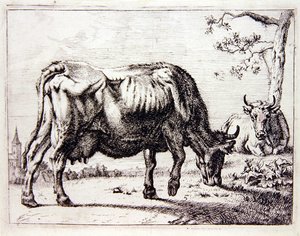 牧场上的奶牛（雕刻）。 作者 英语学校