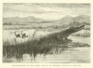 哈姆兰阿拉伯人在尼罗河的尼罗河支流中捕猎鳄鱼 作者 英语学校