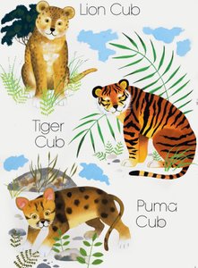 小猫的小熊 作者 英语学校