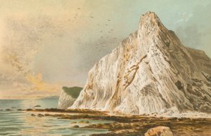 Culver Cliff  - 怀特岛 作者 英语学校