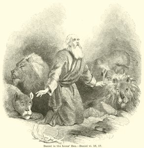 丹尼尔在狮子会，丹尼尔，vi，16,17 作者 英语学校