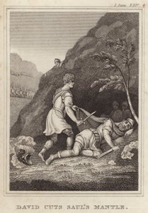 David Cuts Sauls Mantle 作者 英语学校