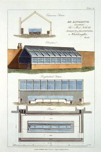 设计为一个水族馆，为Whiteknights的The Bquisford侯爵，1806年执行 作者 英语学校