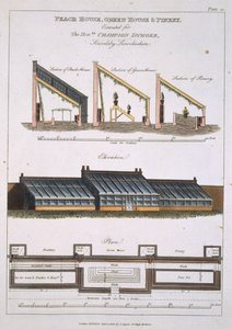 桃花屋，温室和松林的设计，1806年 作者 英语学校