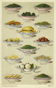 蔬菜菜 作者 英语学校
