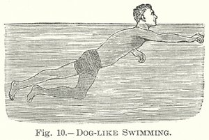 像狗一样游泳（雕刻） 作者 英语学校