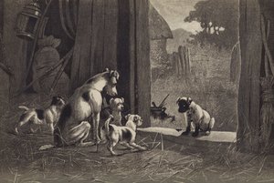 狗 (chromolitho) 作者 英语学校