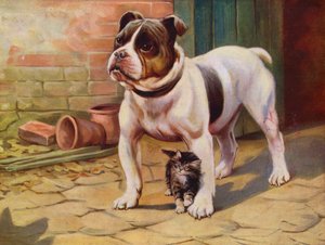 狗和小猫（彩色平版） 作者 英语学校