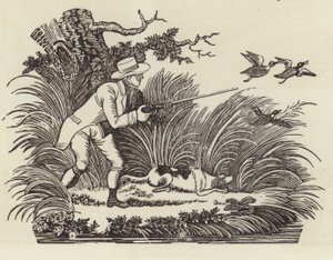 鸭子射击 作者 英语学校