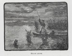 刺鳗（雕刻） 作者 英语学校