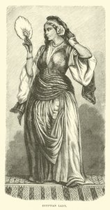 埃及女士 作者 英语学校