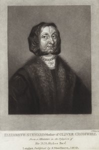 Elizabeth Steward 作者 英语学校