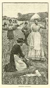 英国的gleaners 作者 英语学校