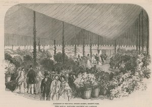 皇家植物学会展览 作者 英语学校