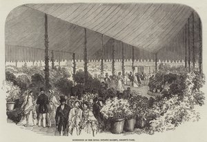 皇家植物学会展览，摄政公园（雕刻）。 作者 英语学校