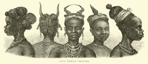 Fanti（Elmina）发型 作者 英语学校
