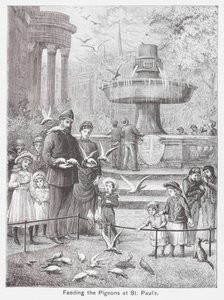 在大三巴喂鸽子（雕刻） 作者 英语学校