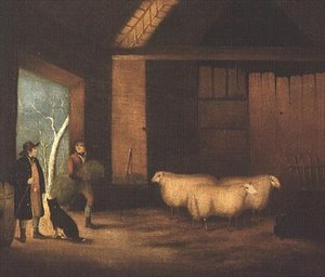 饲喂羊群 作者 英语学校
