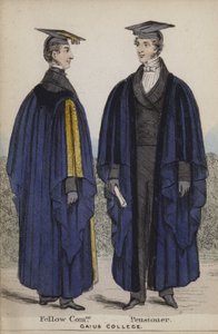 同事，养老金领取者，Gaius学院 作者 英语学校