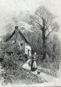 第一朵花，来自1888年的“休闲时光” 作者 英语学校