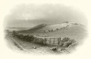 了Flodden