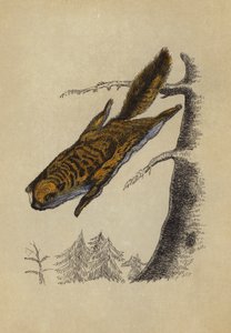 飞翔的松鼠(彩色平版印刷) 作者 英语学校