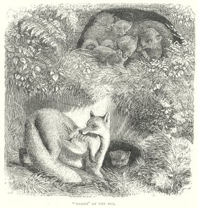 狐狸（雕刻） 作者 英语学校