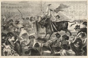 Pepe Hilo，马德里着名的斗牛士可怕的死亡 作者 English School