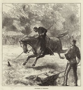 1875年6月12日“伦敦新闻画报”的封面