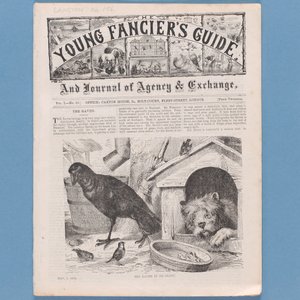 1874年The Young Fanciers Guide的主题（另见315145） 作者 英语学校